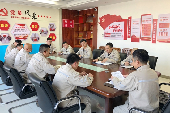 大唐淮北發(fā)電廠開展“沖刺四季度，奪取雙勝利”主題黨日活動(dòng)