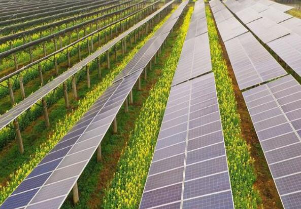 廣東清遠建設(shè)小型農(nóng)光互補光伏發(fā)電站，工程總投資1.5億元