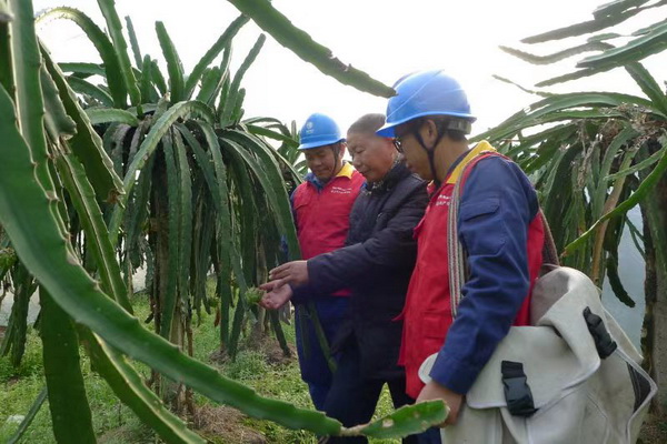 國網(wǎng)寧?？h供電公司：“電力紅馬甲”護航，退役軍人鄉(xiāng)村創(chuàng)業(yè)“紅如火”