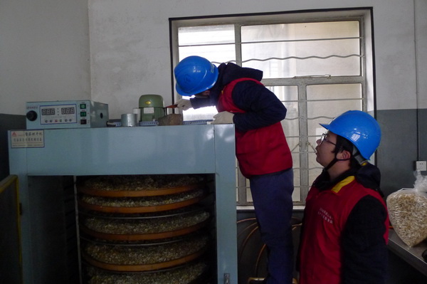 國網(wǎng)寧海縣供電公司：電力紅馬甲服務(wù)鄉(xiāng)村企業(yè) ，讓黃精變“黃金”