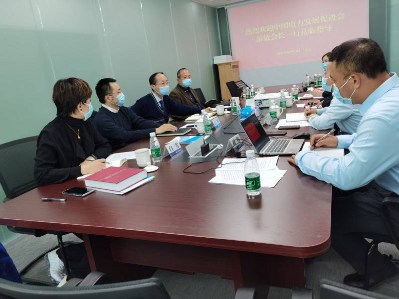 中國電力發(fā)展促進(jìn)會一行到福建億力電力科技有