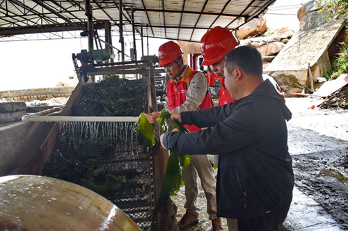 國(guó)網(wǎng)霞浦縣供電公司:大力實(shí)施農(nóng)業(yè)領(lǐng)域電能替代 助力養(yǎng)殖企業(yè)降本增效