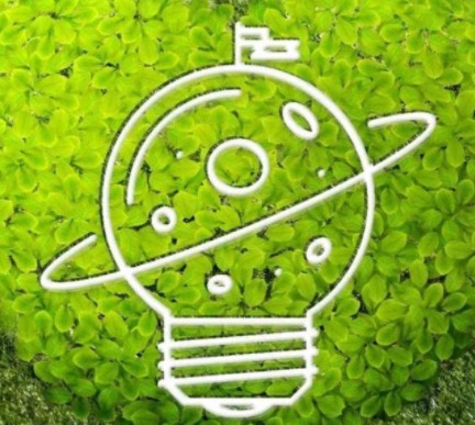 碳排放市場上線兩周后 “碳價(jià)”怎么樣了？