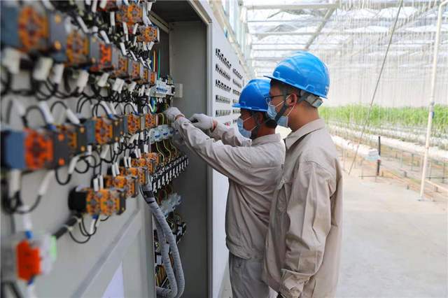 國網(wǎng)海安市供電公司:老區(qū)電氣化 農(nóng)業(yè)有奔頭