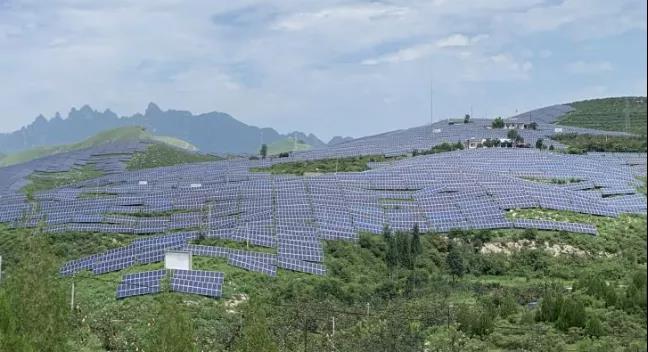 少長一棵草，多發(fā)一度電，助力碳中和