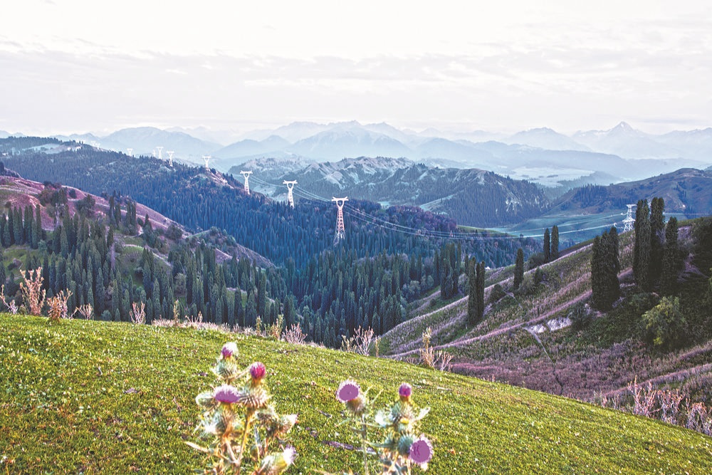 國(guó)網(wǎng)新疆電力服務(wù)新疆生產(chǎn)建設(shè)兵團(tuán)用電工作紀(jì)實(shí)