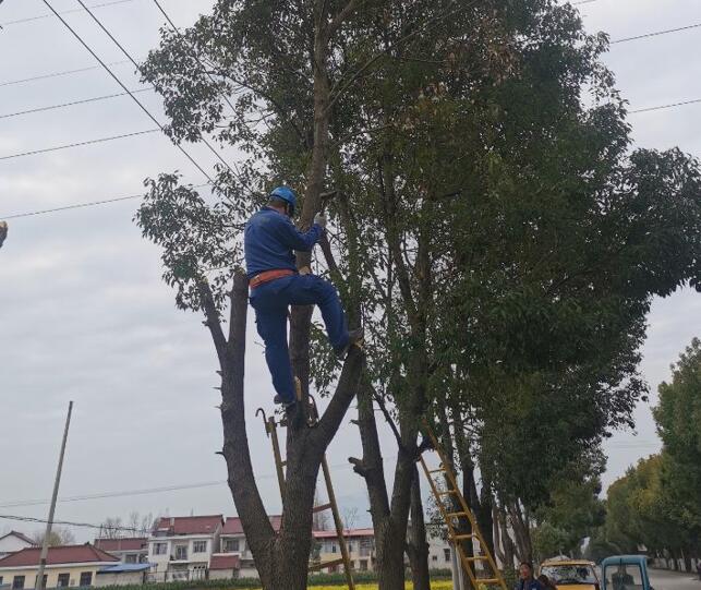 國網(wǎng)城固縣供電公司積極開展春季樹障清理工作，打通線路安全通道  　　中國電力網(wǎng)訊  陽春三月，草長鶯飛，又到了樹竹快速生長的季節(jié)，茂密的樹木包裹10千伏及0.4千伏導(dǎo)線，“線樹”矛盾愈發(fā)嚴(yán)重，此時也正