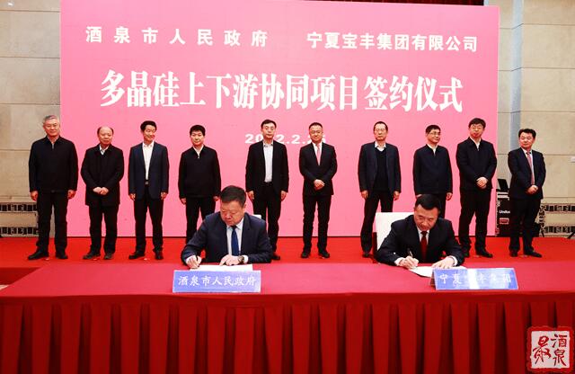 寶豐集團擬在寧夏建設(shè)35萬噸工業(yè)硅、30萬噸多晶硅、50GW拉晶切片、30GW電池組件