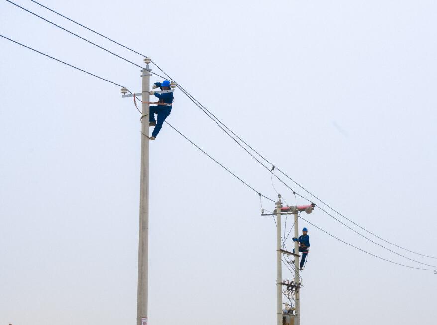 阿拉善供電公司：電網(wǎng)健康“體檢”，從登桿開始