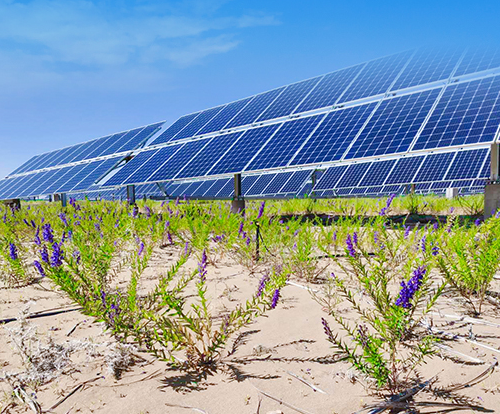 光伏治沙+風(fēng)光大基地，寧夏“走出”生態(tài)保護(hù)和高質(zhì)量發(fā)展新道路