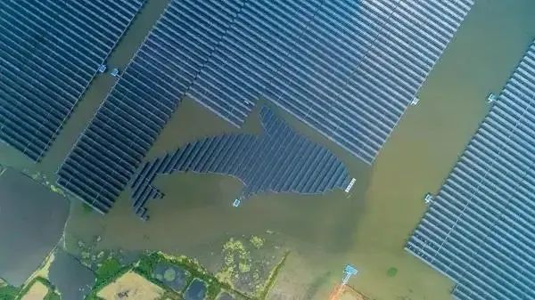 泗洪1000MW光伏領跑者項目被勒令拆除整改！