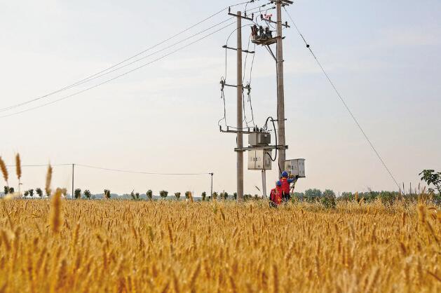 安徽阜陽：“旱了能澆，澇了能排”