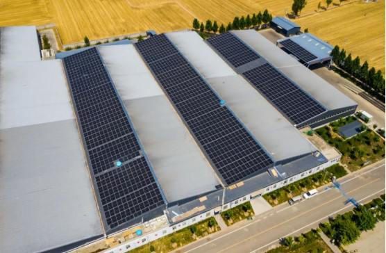 分布式光伏助力企業(yè)低碳轉(zhuǎn)型！麥田里的陽光工廠，年均生產(chǎn)108萬度綠電！