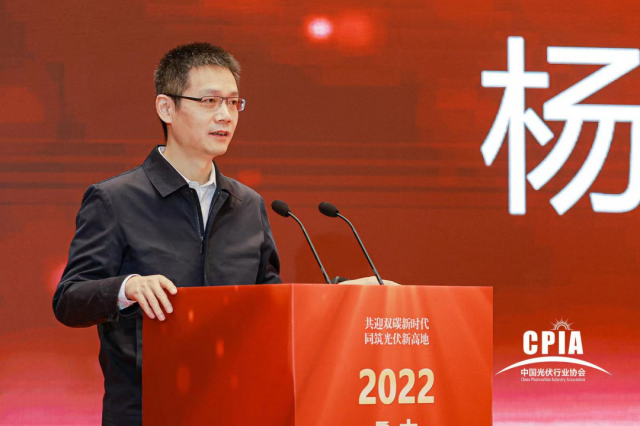 工信部楊旭東:推動光伏與新型儲能電池協(xié)同發(fā)展應用