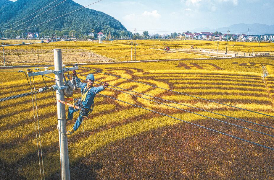 杭州富陽(yáng)區(qū)供電公司改造升級(jí)農(nóng)網(wǎng)，服務(wù)農(nóng)業(yè)生產(chǎn)電氣化