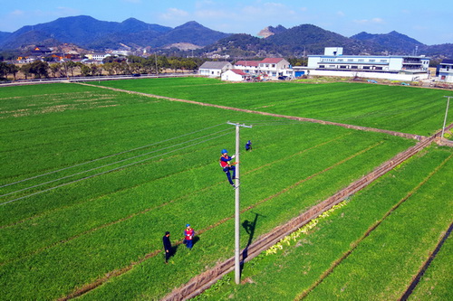 國(guó)網(wǎng)寧波市海曙區(qū)供電公司:春耕忙 電力足 萬物生長(zhǎng)正當(dāng)時(shí)