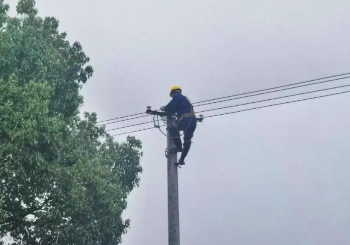 國網(wǎng)湘潭供電公司:黨員服務(wù)進(jìn)田間 糧田春灌“電力足”