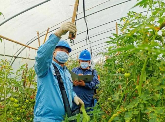 廣西欽州:電力先行 服務鄉(xiāng)村振興