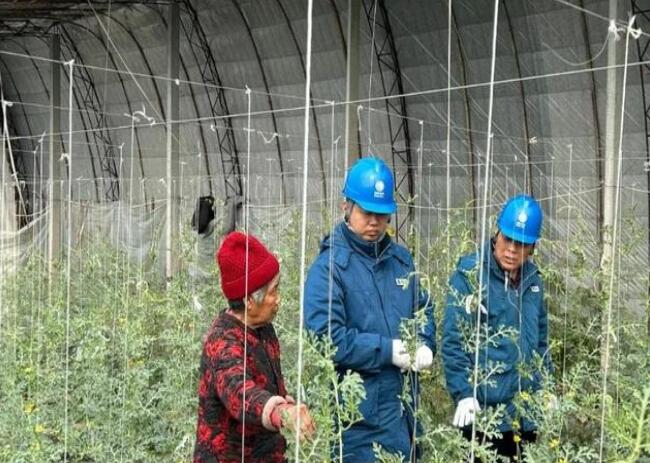 山東惠民供電公司：走訪種植大棚，優(yōu)化農(nóng)業(yè)營(yíng)商環(huán)境