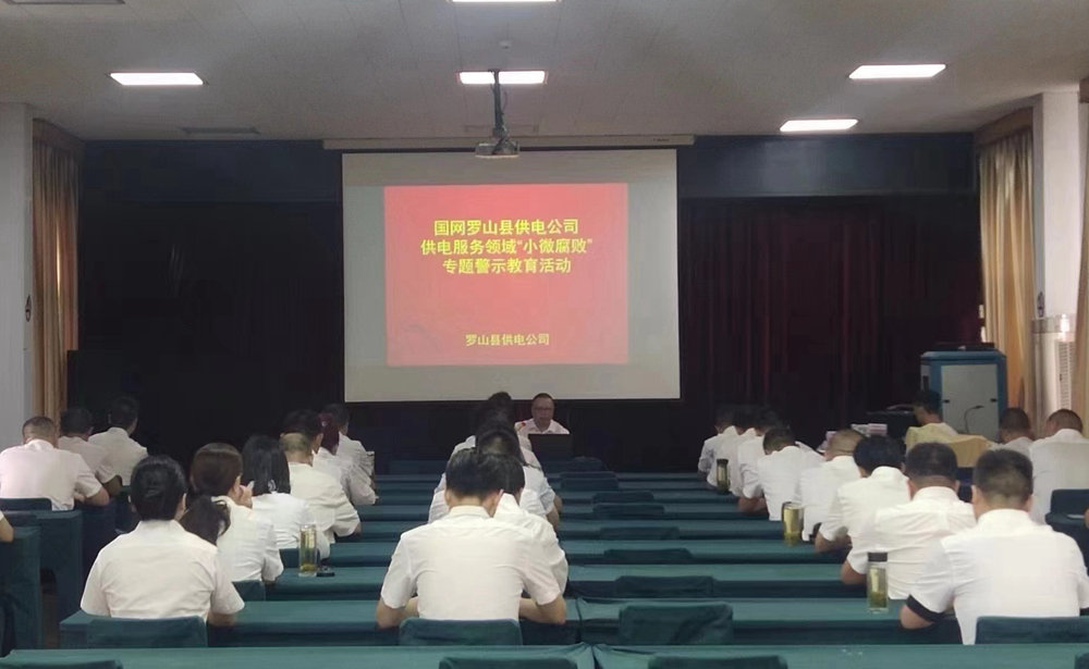 國網(wǎng)羅山縣供電公司:開展警示教育 預防“小微腐敗”