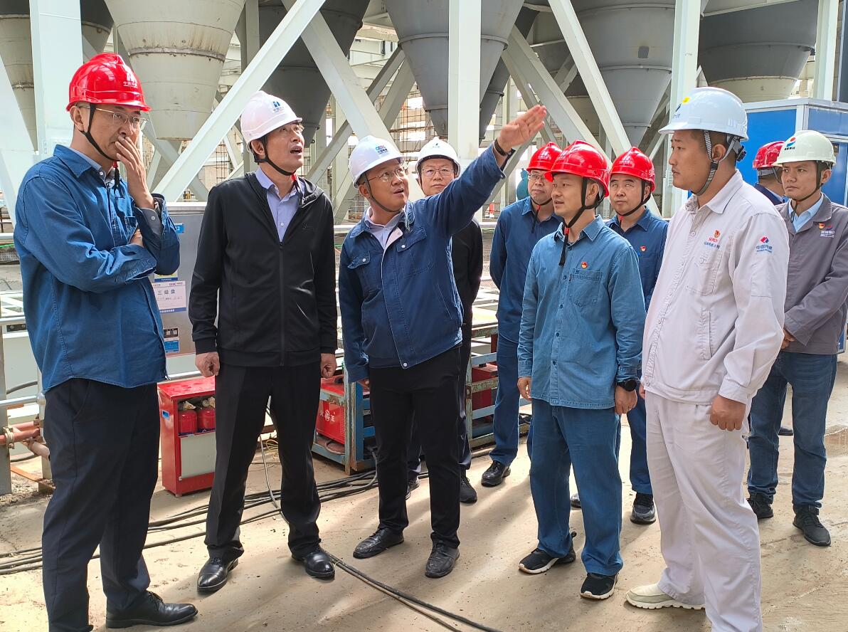 華能甘肅公司黨委書記、董事長(zhǎng)張東輝到正寧百萬項(xiàng)目檢查指導(dǎo)