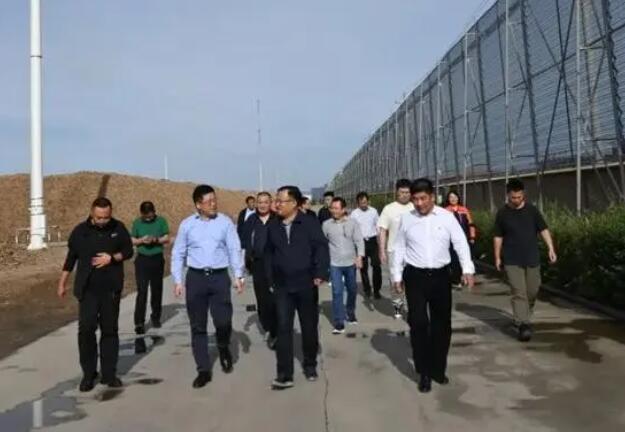 內(nèi)蒙古專項(xiàng)督查組蒞臨龍基生物質(zhì)熱電項(xiàng)目考察，助力鄉(xiāng)村振興發(fā)展