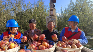 國(guó)網(wǎng)鹽源縣供電公司:“電管家”助力糖心蘋果豐收