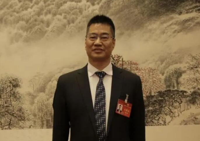 【兩會好聲音】全國政協委員張振濤:給予新型長時物理儲能項目同等政策支持