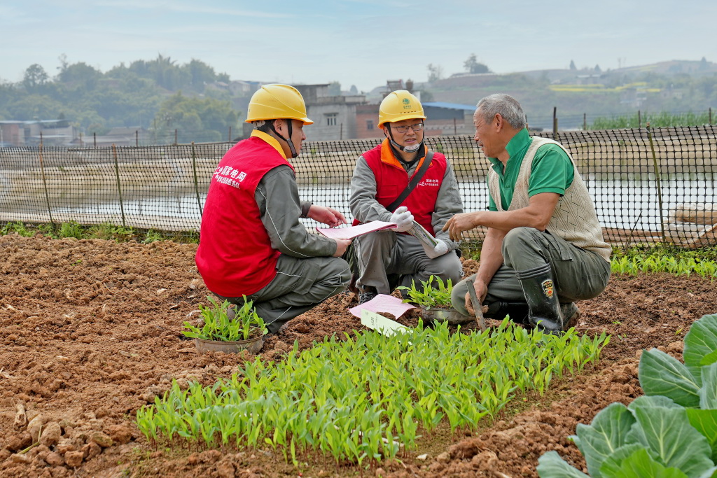 重慶合川:電力護(hù)春耕 不負(fù)好農(nóng)時