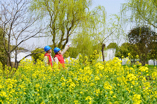 國網(wǎng)太倉市供電公司：電力賦能農(nóng)文旅，五一出游“零碳”行