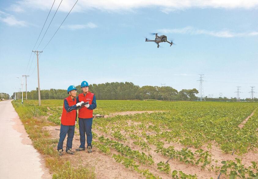 遼寧省彰武縣:可靠電力助推鄉(xiāng)村產(chǎn)業(yè)鏈延長(zhǎng)