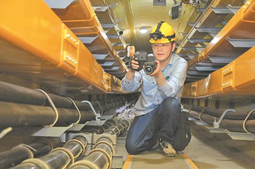 董力文：向下扎根，向上生長