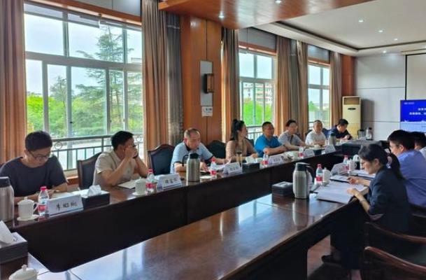 “氫”裝上陣,自貢市加快推動(dòng)氫能全產(chǎn)業(yè)鏈發(fā)展