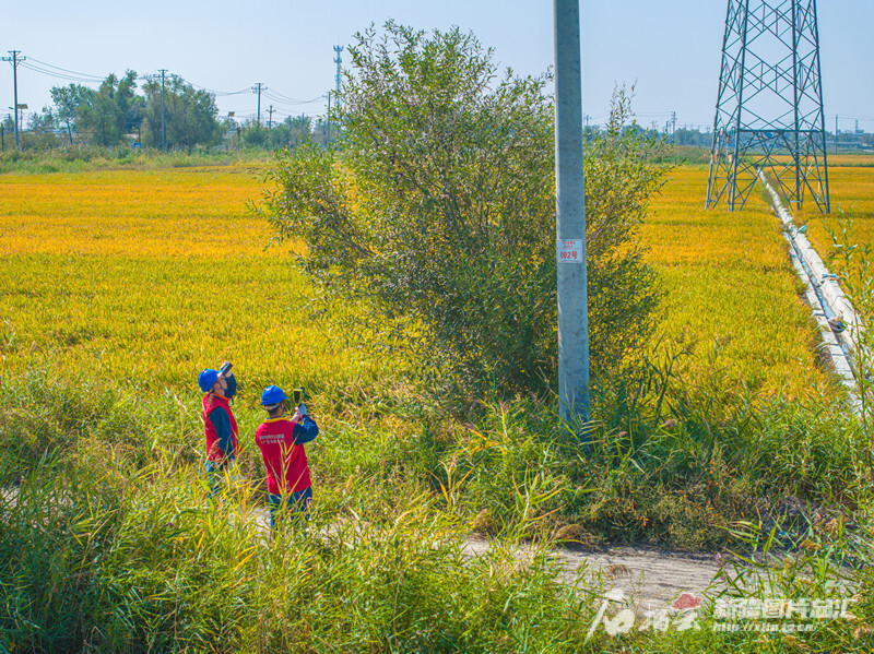 新疆電網前三季度售電量增幅居國網首位