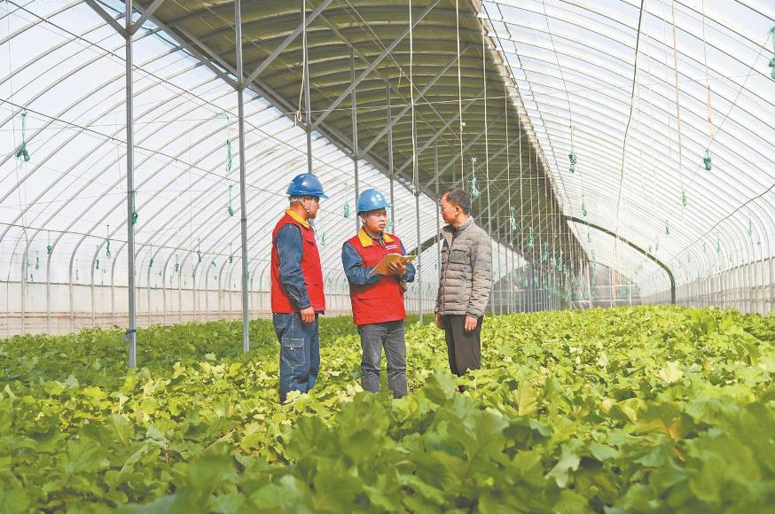 河南省許昌市:供電保障前置 鄉(xiāng)村產(chǎn)業(yè)興旺