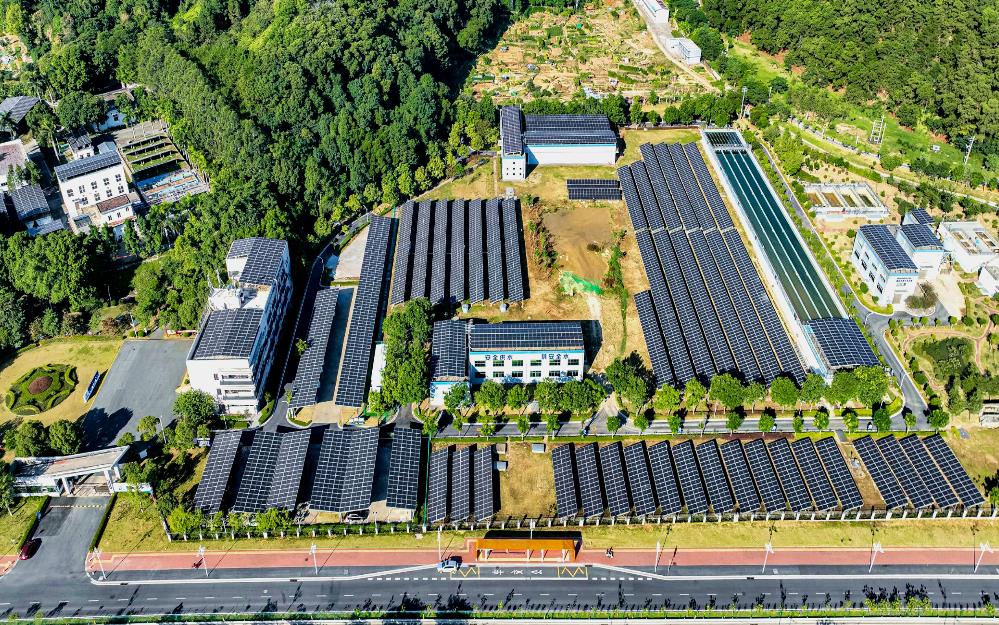 追“新”逐“綠” 粵?？毓杉瘓F(tuán)走實(shí)走好綠色低碳轉(zhuǎn)型高質(zhì)量發(fā)展道路