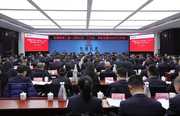 國(guó)能新疆能源召開(kāi)二屆一次職代會(huì)、工代會(huì)、表彰會(huì)暨2025年工作會(huì)