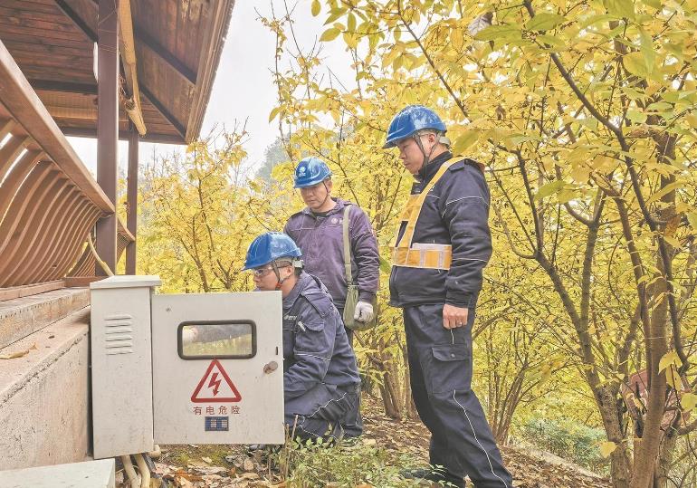 重慶北碚:蠟梅朵朵開(kāi) 幸福生活來(lái)