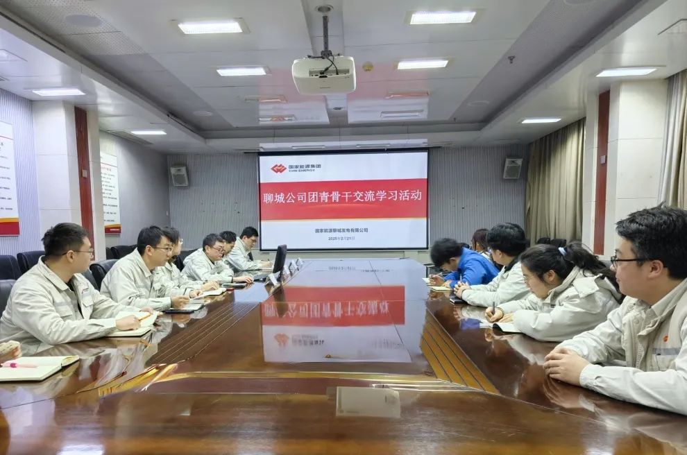 國能聊城公司舉辦團(tuán)青骨干業(yè)財(cái)融合主題研學(xué)活動(dòng)聚合力啟新程