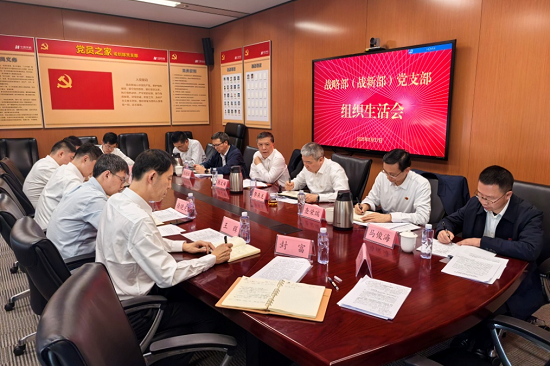 華能集團(tuán)黨組副書(shū)記張文峰參加集團(tuán)公司戰(zhàn)略部黨支部2024年度組織生活會(huì)