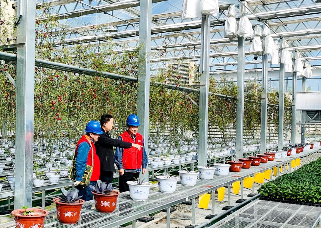 國網臨夏供電公司春耕春灌電滿格 鄉(xiāng)村振興動力足