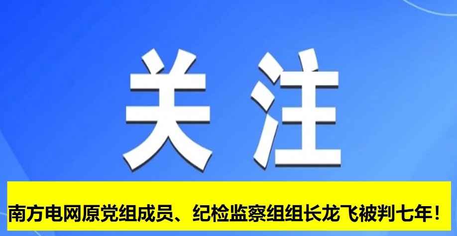 南方電網(wǎng)原黨組成員、紀(jì)檢監(jiān)察組組長龍飛被判