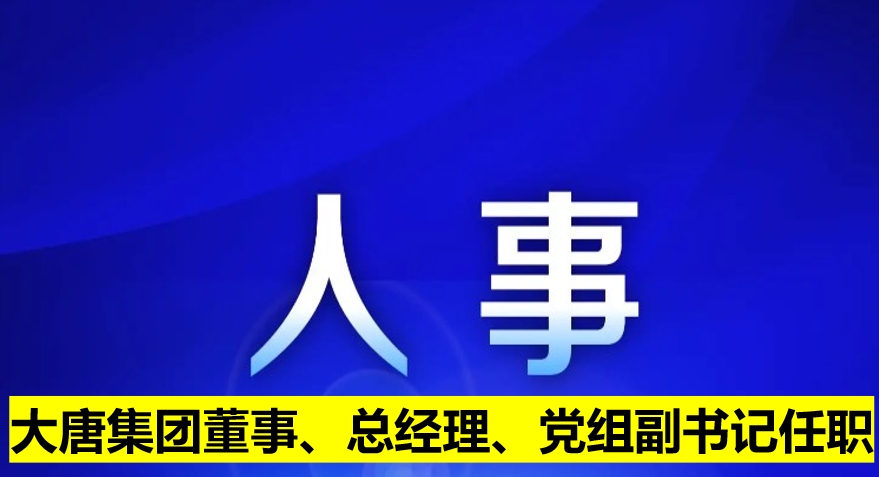 大唐集團董事、總經(jīng)理、黨組副書記任職