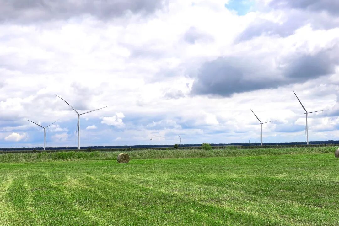 全球最大綠色氫氨醇一體化項目風(fēng)機(jī)吊裝完成